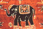 Elephant illustration