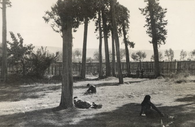 Garden on Huachung University campus